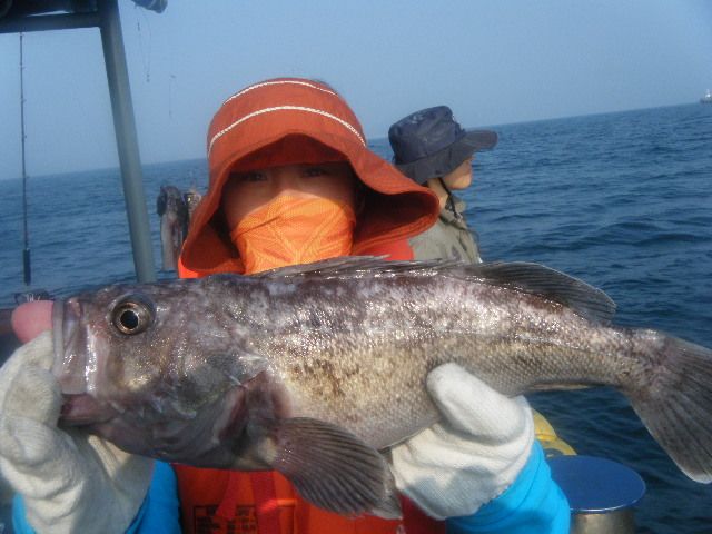 8 035.jpg