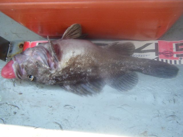 8 140.jpg
