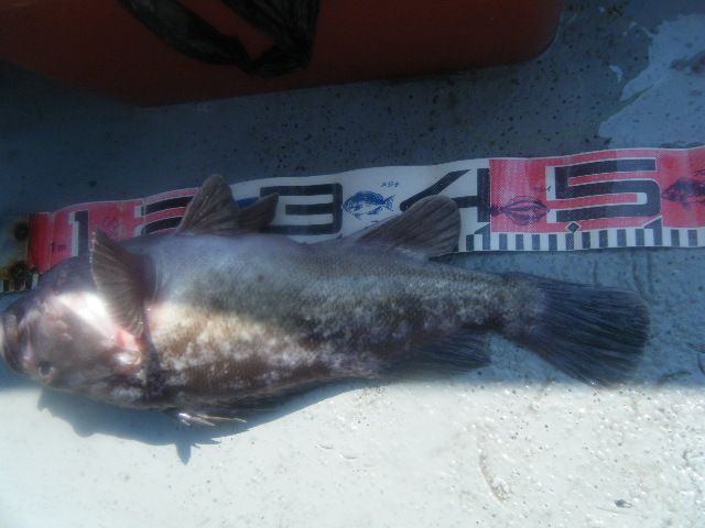 8 160.jpg