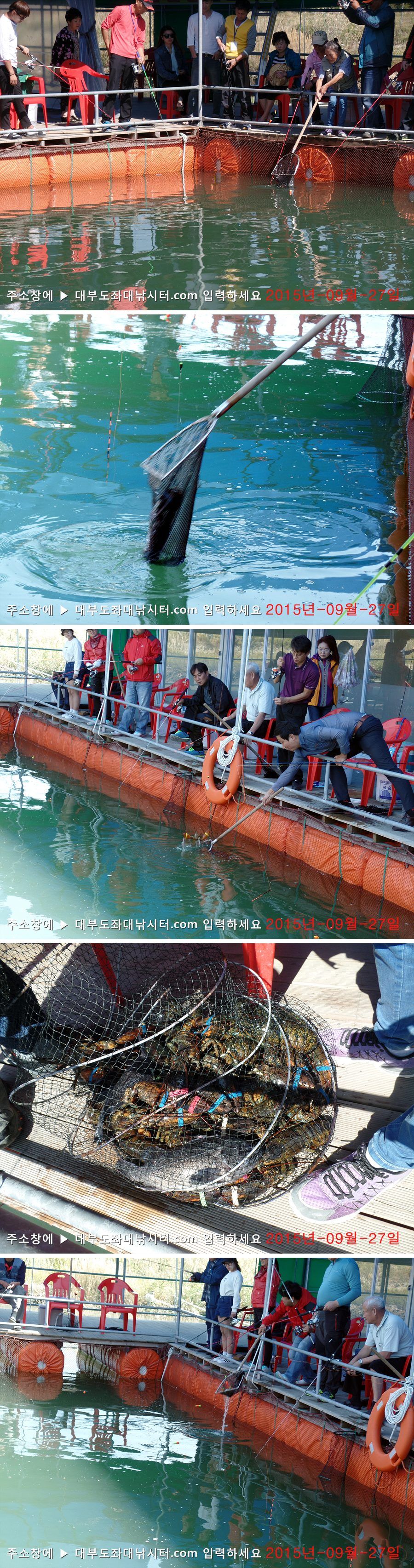 SAM_5407-vert.jpg