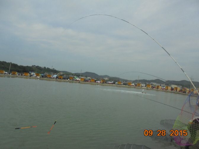 �ٹ̱�_DSC02868.JPG