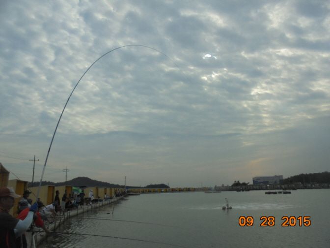 �ٹ̱�_DSC02875.JPG