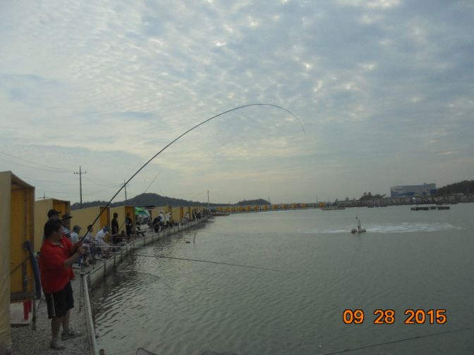 �ٹ̱�_DSC02873.JPG