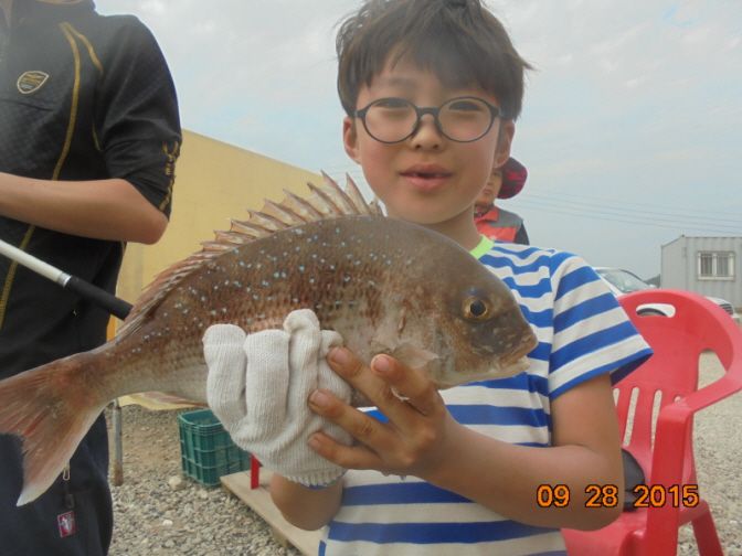 �ٹ̱�_DSC02880.JPG