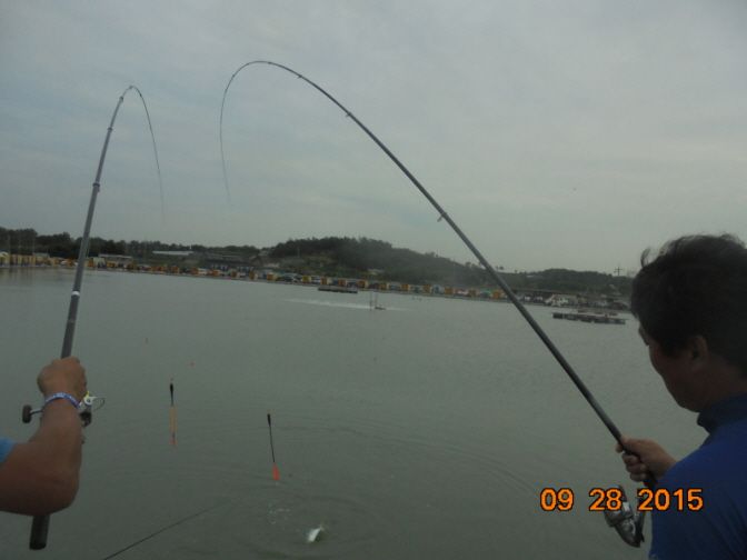 �ٹ̱�_DSC02894.JPG