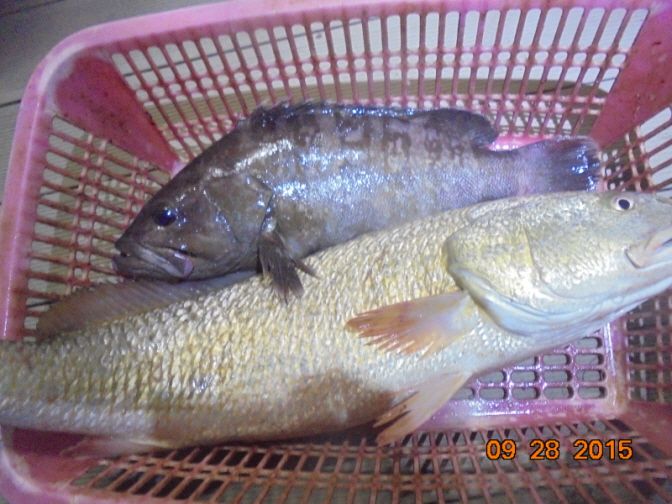 �ٹ̱�_DSC02897.JPG