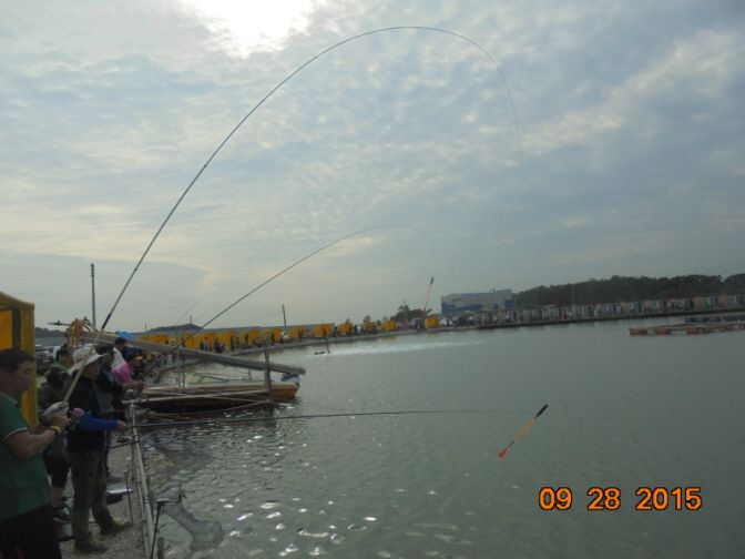 �ٹ̱�_DSC02863.JPG