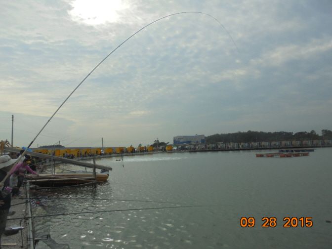 �ٹ̱�_DSC02862.JPG