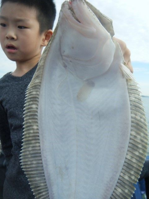 DSCF1137 (480x640) (480x640) (480x640).jpg
