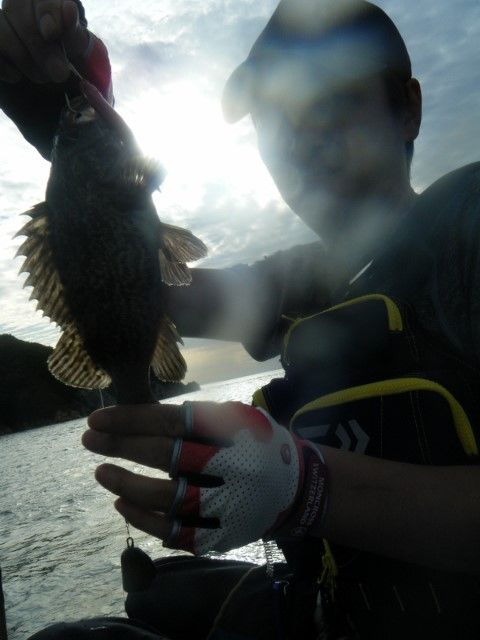 DSCF1142 (480x640).jpg