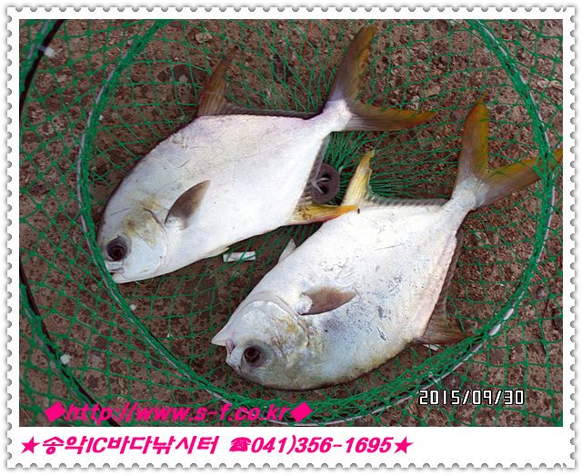 15.jpg