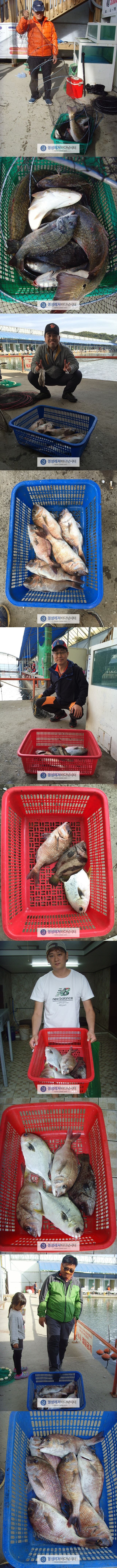 222.jpg