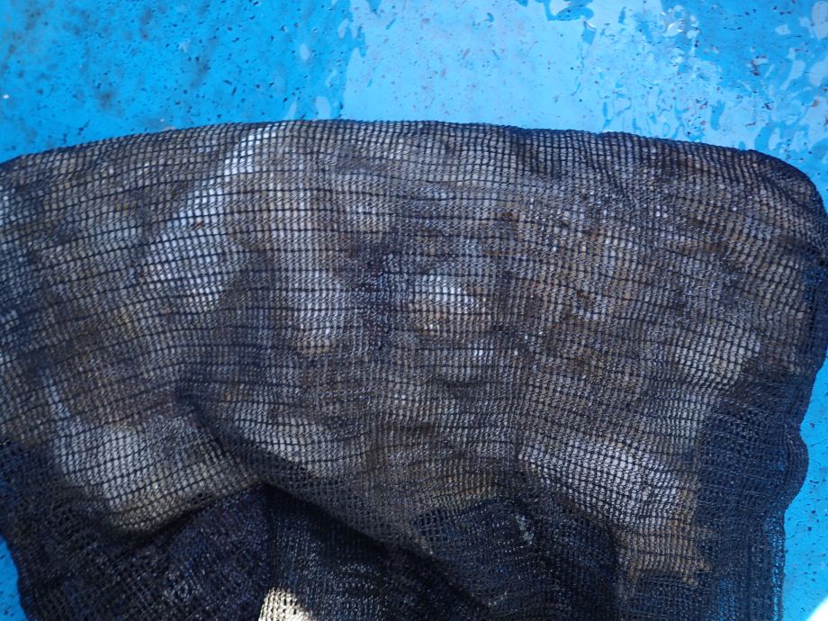 PA050021.JPG