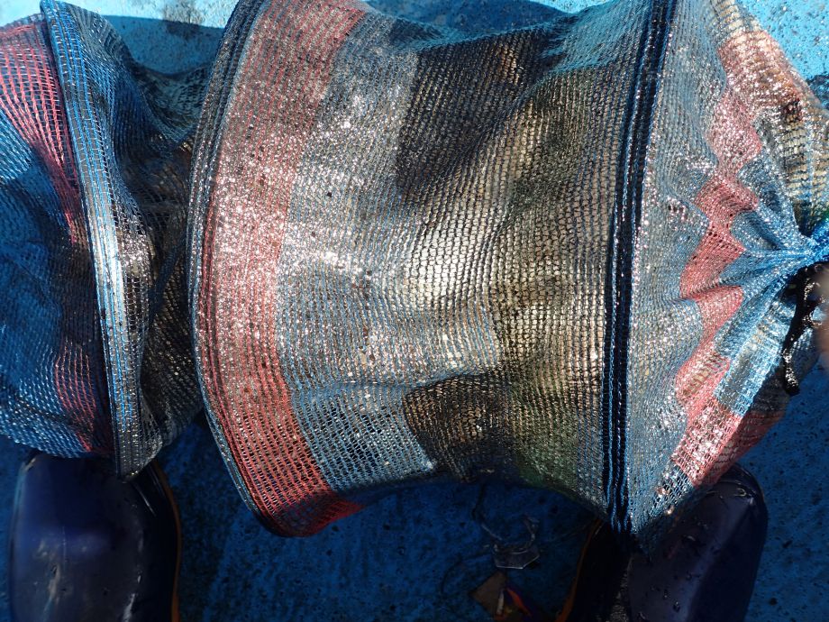 PA050028.JPG