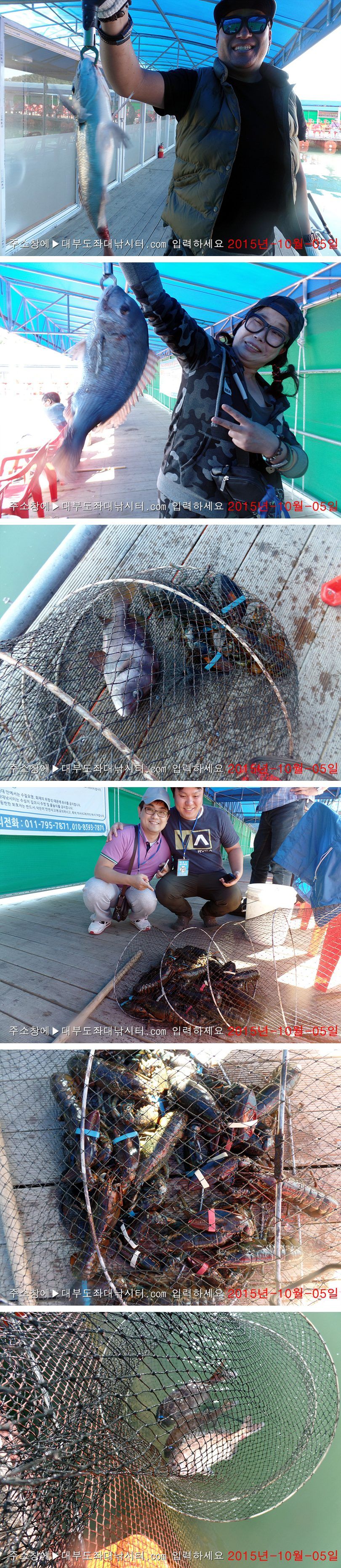 SAM_6900-vert.jpg