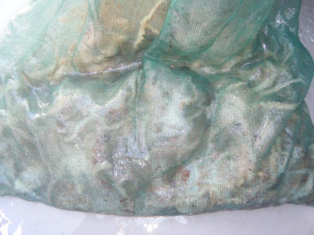8 081.jpg