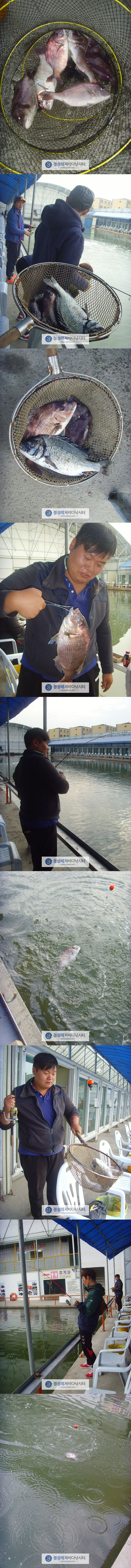 444.jpg