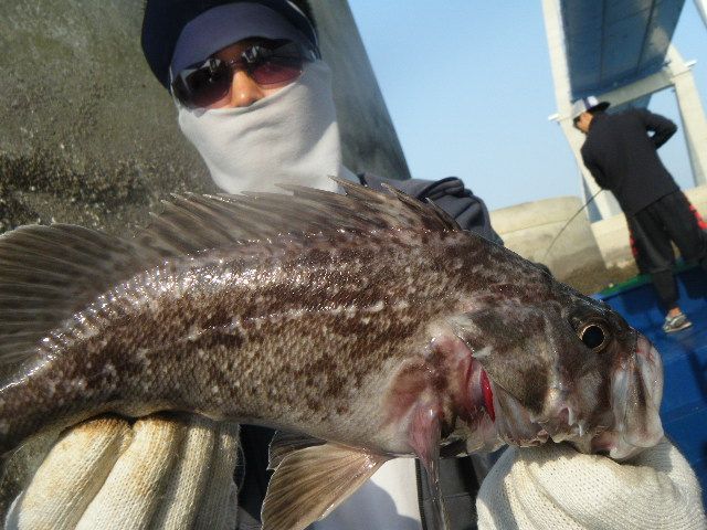 DSCF1489.JPG