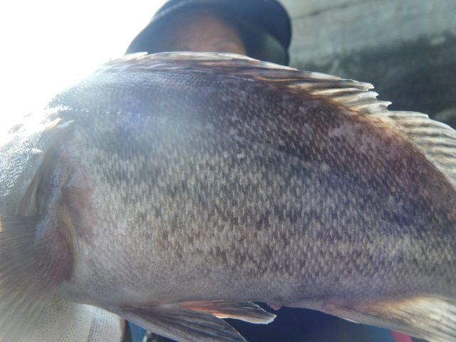 DSCF1488.JPG
