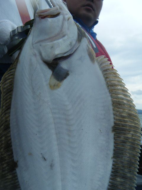 DSCF1657.JPG