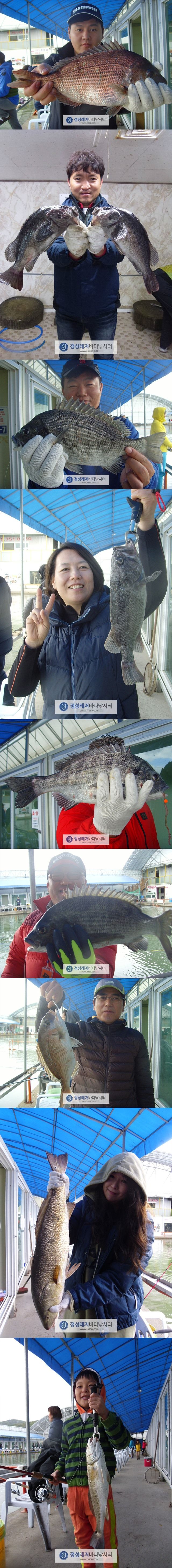 111.jpg