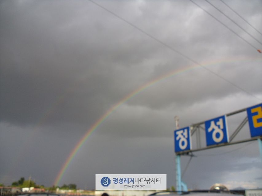 SNV356521.jpg