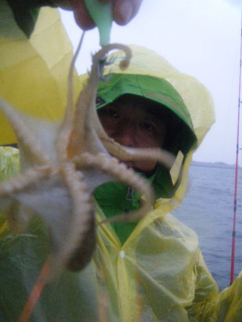 27 009.jpg