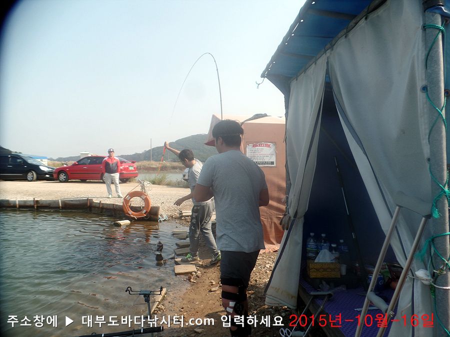 SAM_3970.jpg