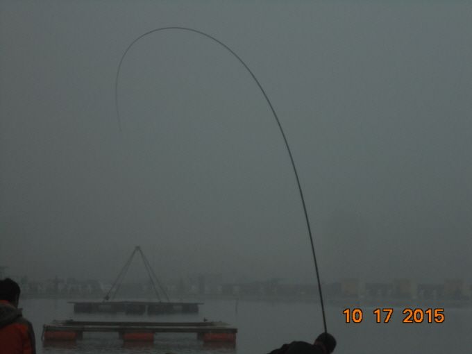 ٹ̱_DSC03658.JPG
