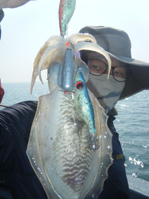 8 095.jpg