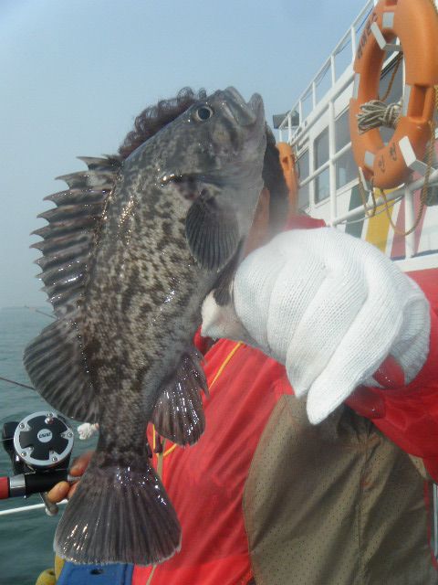 DSCF1808.JPG
