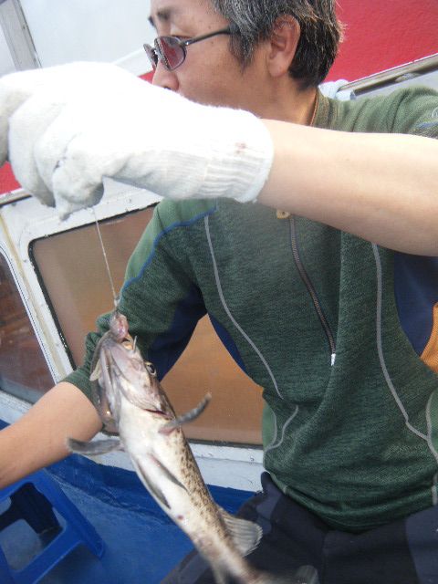 DSCF1826.JPG