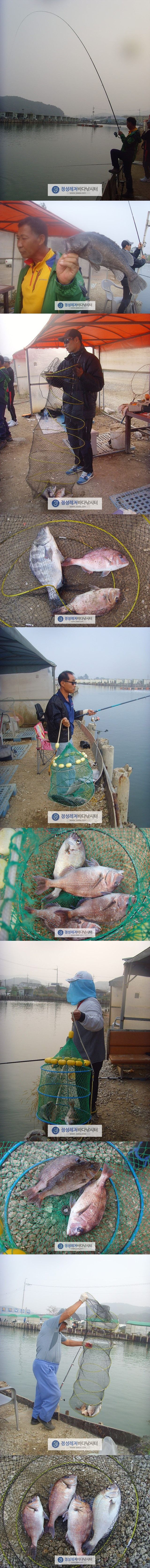 5555.jpg