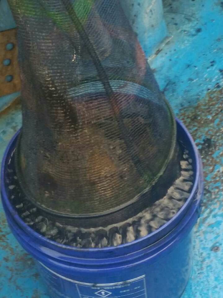 temp_1445506069434.1724002680.jpeg