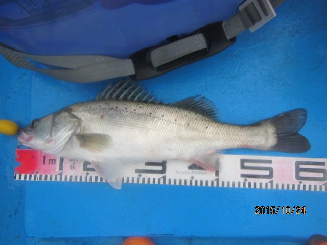 IMG_5657.JPG