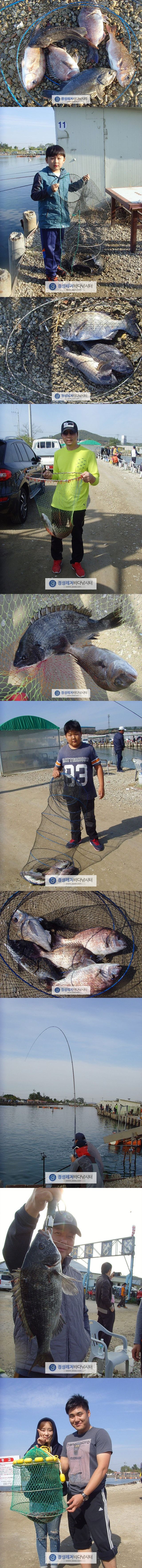 131313.jpg