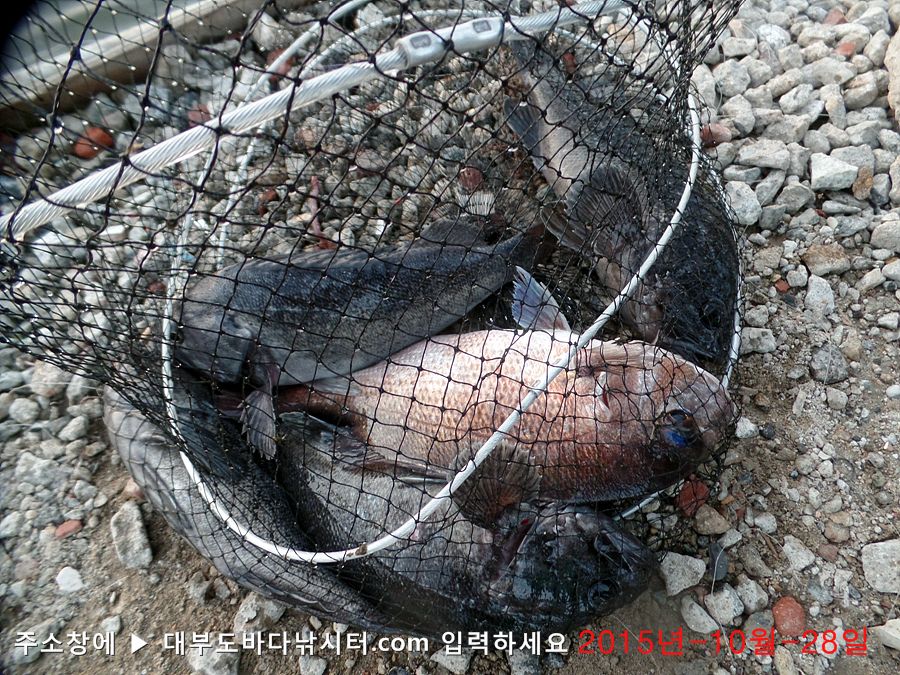 SAM_4512.jpg