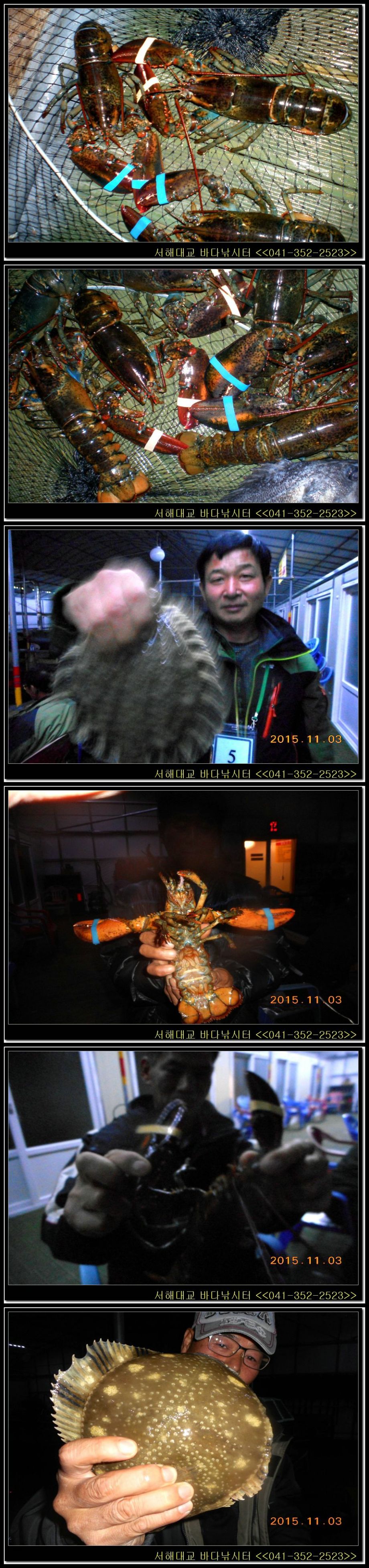 15.jpg