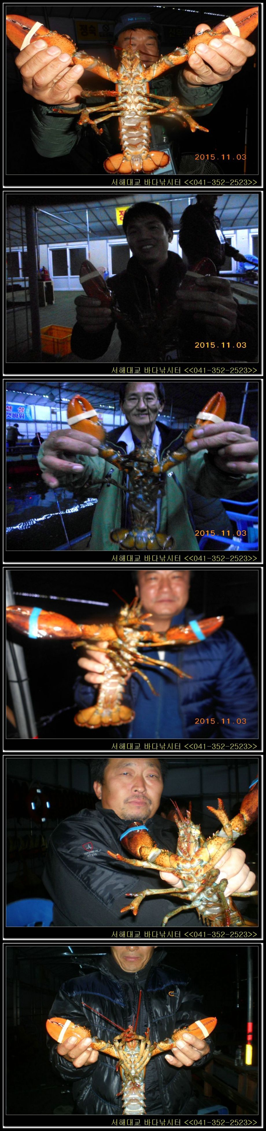 16.jpg