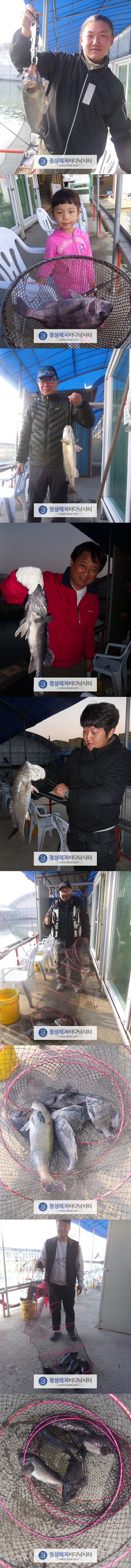 111.jpg