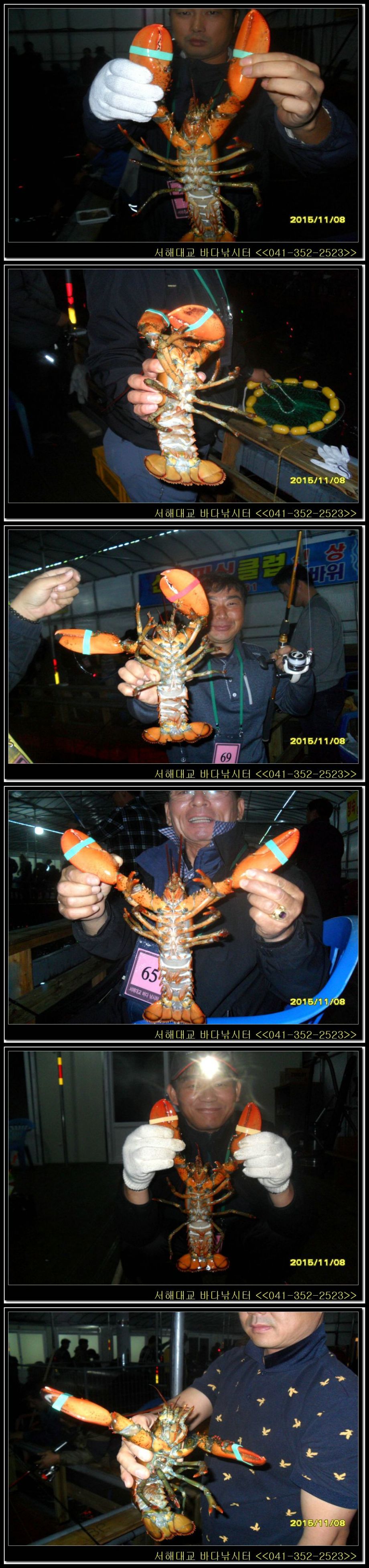 18.jpg