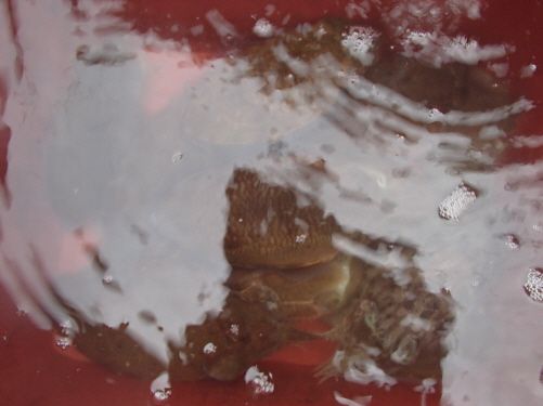 PB140017.JPG