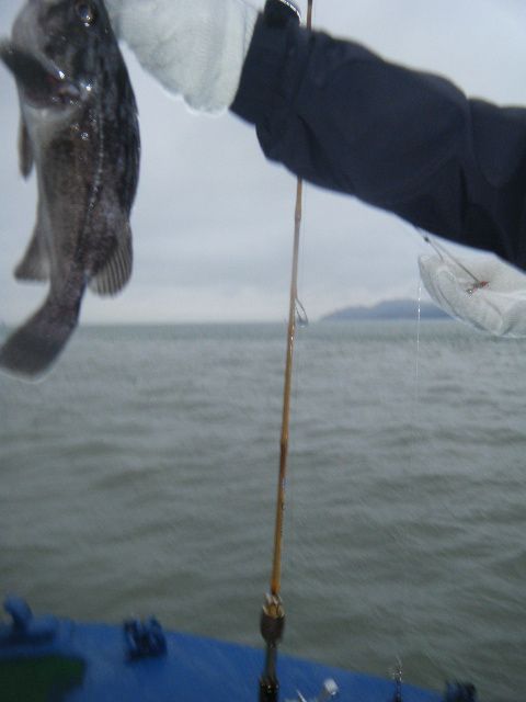 DSCF2611.JPG