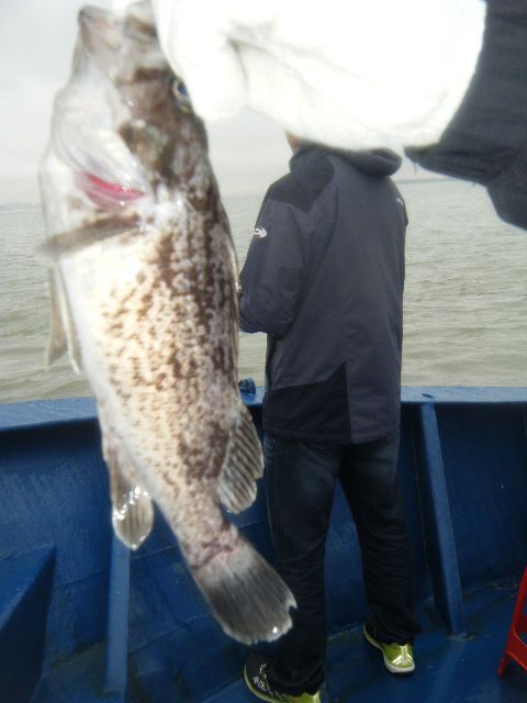 DSCF2620.JPG
