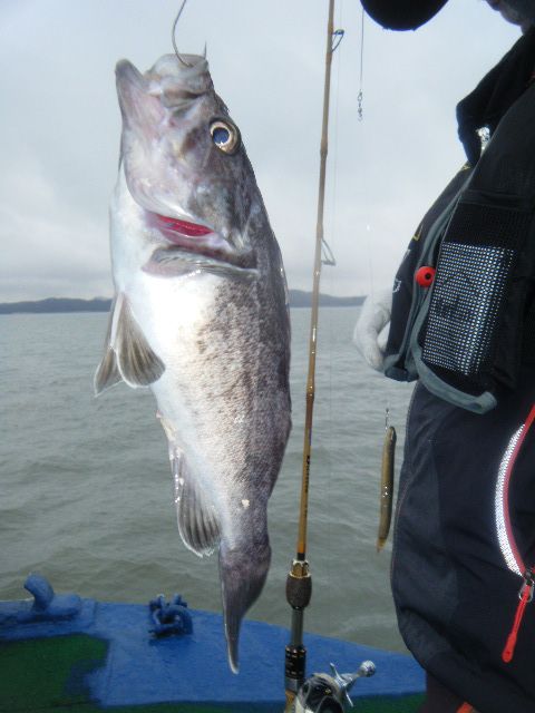 DSCF2622.JPG