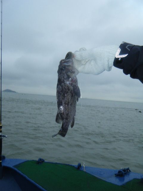 DSCF2629.JPG