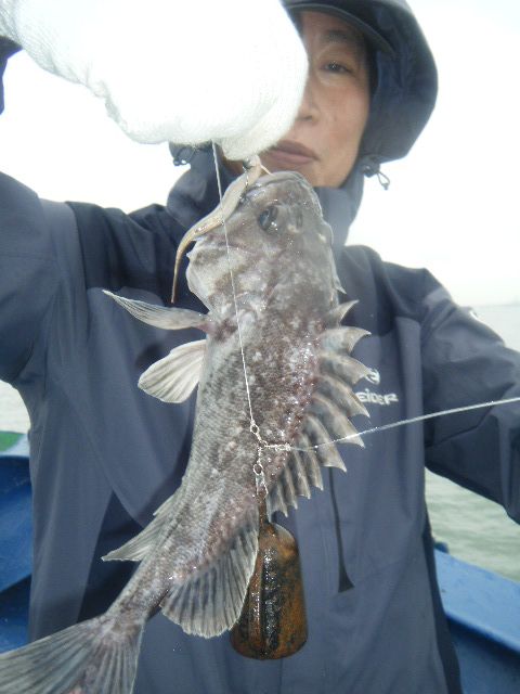 DSCF2636.JPG