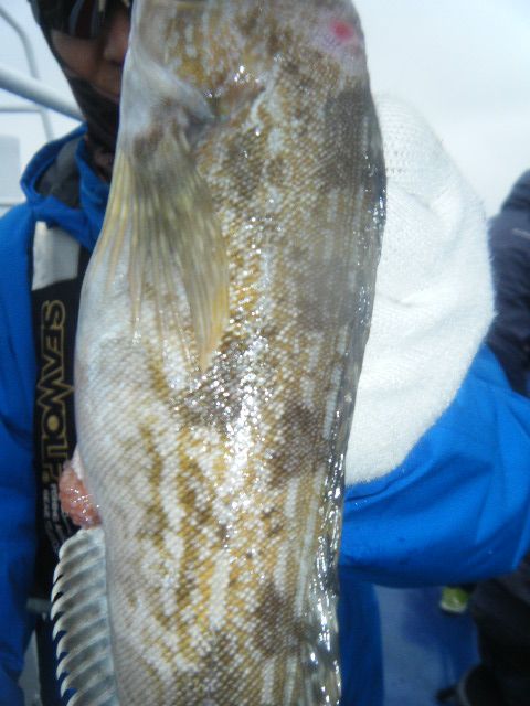 DSCF2638.JPG