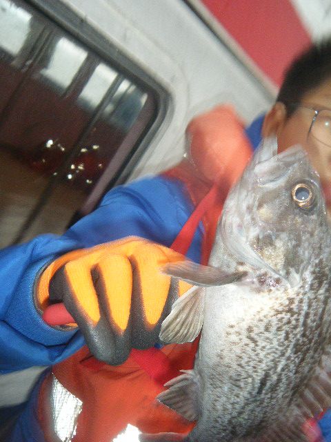 DSCF2647.JPG