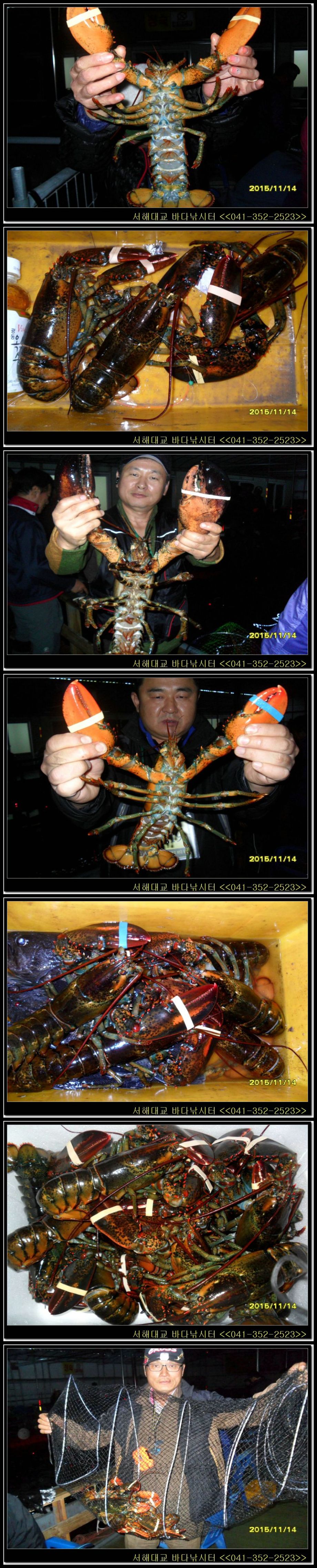 13.jpg